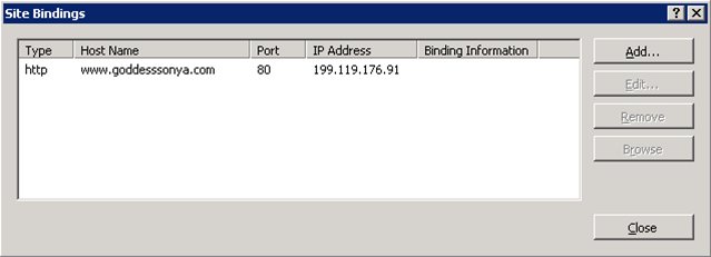 IIS 7.5 configuring bindings and Host Names for Actual Website